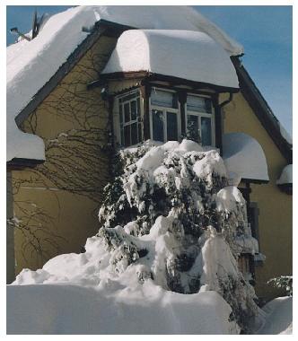 Ferienwohnung in St. Maergen (Schwarzwald) oder Ferienwohnung oder Ferienhaus