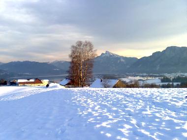 Blick zum Schafberg