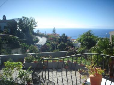 Blick auf den Vorgarten