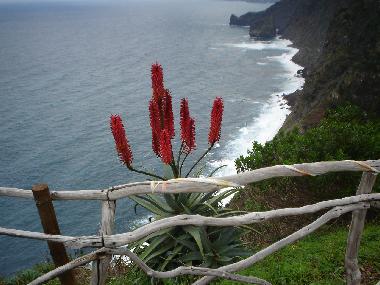 Nordk�ste bei Santana