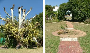 Ferienhaus in Johannesburg (Gauteng) oder Ferienwohnung oder Ferienhaus