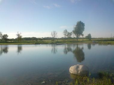 Ferienhaus in Borgolm (�land) oder Ferienwohnung oder Ferienhaus