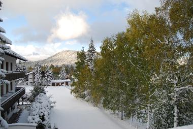 Ausblick auf die Alpen