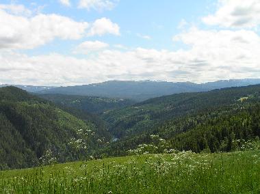 Pension in Havdal (Sor-Trondelag) oder Ferienwohnung oder Ferienhaus