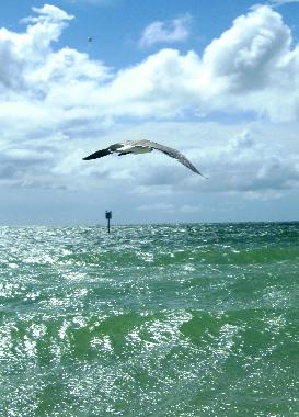 Paradiesische Strnde auf Sanibel und Captiva Island laden ein zum Trumen und Entspannen