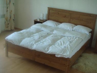 Ferienhaus in Bizeljsko (Brezice) oder Ferienwohnung oder Ferienhaus