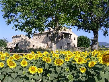 Pension in Treia (Macerata) oder Ferienwohnung oder Ferienhaus