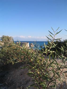 Ferienhaus in Ha Potami-Kouklia (Paphos) oder Ferienwohnung oder Ferienhaus