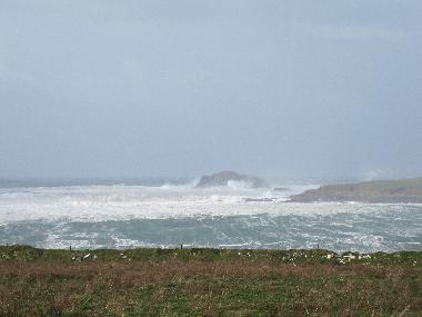 Ferienhaus in Dingle (Kerry) oder Ferienwohnung oder Ferienhaus