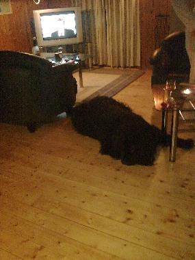 Ferienhaus in Rindby Strand/Fan� (Sonderjylland) oder Ferienwohnung oder Ferienhaus