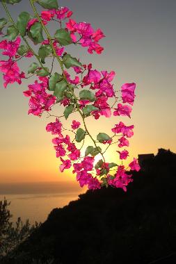 Ferienwohnung in Pisciotta (Salerno) oder Ferienwohnung oder Ferienhaus