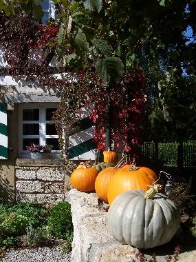 Auch der Herbst hat sch�ne Tage. 