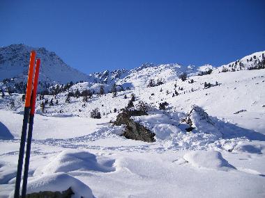 Ferienwohnung in Haute Nendaz (Nendaz) oder Ferienwohnung oder Ferienhaus