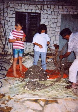 Ferienwohnung in Sevid  (Splitsko-Dalmatinska) oder Ferienwohnung oder Ferienhaus