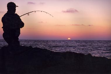 Ferienwohnung in Sevid  (Splitsko-Dalmatinska) oder Ferienwohnung oder Ferienhaus