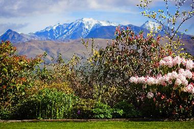 Ferienhaus in Livingstone (Waitaki) oder Ferienwohnung oder Ferienhaus