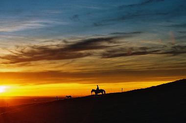 Ferienhaus in Livingstone (Waitaki) oder Ferienwohnung oder Ferienhaus