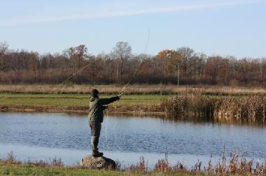 Ferienhaus in K�pingsvik (�land) oder Ferienwohnung oder Ferienhaus