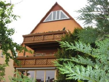 Ansicht Garten