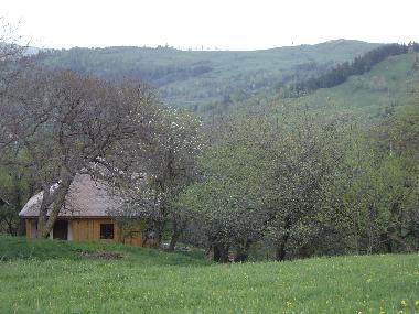 Ferienhaus in Bisoca (Buzau) oder Ferienwohnung oder Ferienhaus