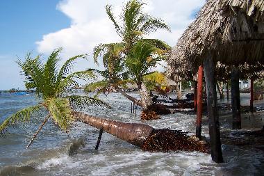 Ferienwohnung in Tol� (Sucre) oder Ferienwohnung oder Ferienhaus