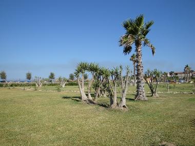 Ferienwohnung in Noto (Siracusa) oder Ferienwohnung oder Ferienhaus