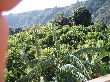 Ferienwohnung in Acireale-Santa Tecla (Catania) oder Ferienwohnung oder Ferienhaus