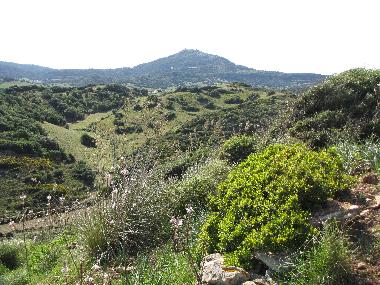 Ferienhaus in Es Mercadal (Menorca) oder Ferienwohnung oder Ferienhaus