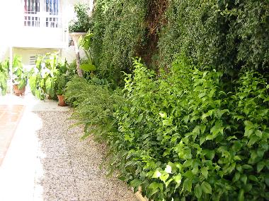 Ferienwohnung in MLAGA (Mlaga) oder Ferienwohnung oder Ferienhaus