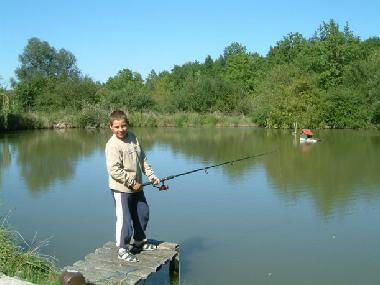 Ferienhaus in Bertric Buree (Dordogne) oder Ferienwohnung oder Ferienhaus