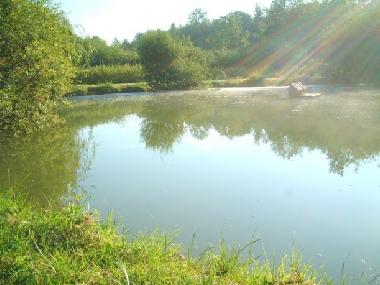 Ferienhaus in Bertric Buree (Dordogne) oder Ferienwohnung oder Ferienhaus