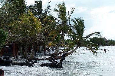 Ferienwohnung in Tol� (Sucre) oder Ferienwohnung oder Ferienhaus
