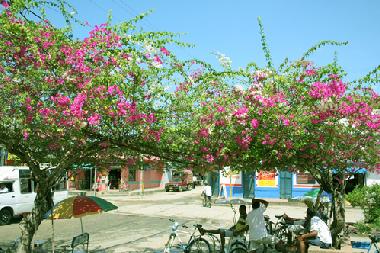 Ferienwohnung in Tol� (Sucre) oder Ferienwohnung oder Ferienhaus