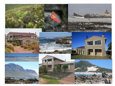 Ferienhaus in Bettys Bay (Western Cape) oder Ferienwohnung oder Ferienhaus