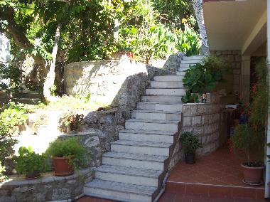 Ferienhaus in MOLUNAT (Dubrovacko-Neretvanska) oder Ferienwohnung oder Ferienhaus