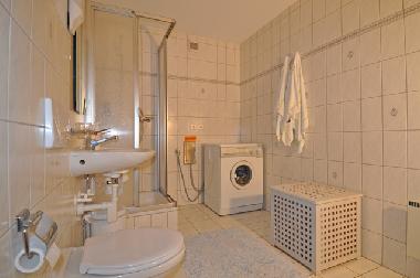 Ferienhaus in Fiesch (Goms) oder Ferienwohnung oder Ferienhaus