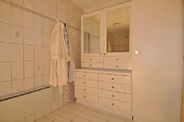 Ferienhaus in Fiesch (Goms) oder Ferienwohnung oder Ferienhaus