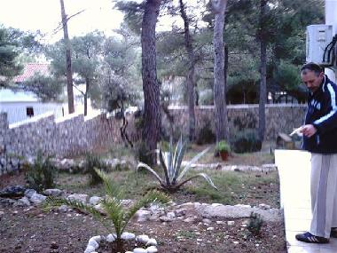 Ferienwohnung in Vis (Splitsko-Dalmatinska) oder Ferienwohnung oder Ferienhaus