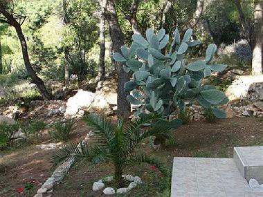 Ferienwohnung in Vis (Splitsko-Dalmatinska) oder Ferienwohnung oder Ferienhaus