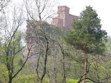 Ferienwohnung in Gossersweiler-Stein bei Landau  (Pfalz) oder Ferienwohnung oder Ferienhaus