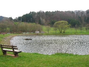 Ferienwohnung in Gossersweiler-Stein bei Landau  (Pfalz) oder Ferienwohnung oder Ferienhaus