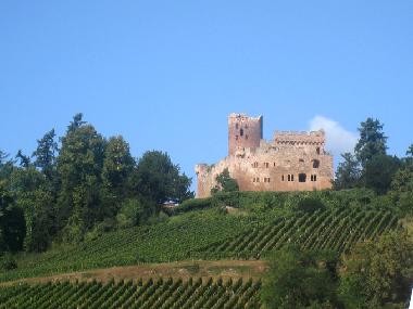 Ferienwohnung in KINTZHEIM (Bas-Rhin) oder Ferienwohnung oder Ferienhaus