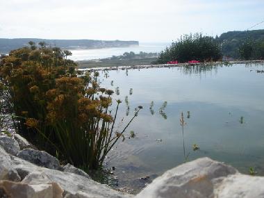 Ferienhaus in  Foz do Arelho (Oeste) oder Ferienwohnung oder Ferienhaus