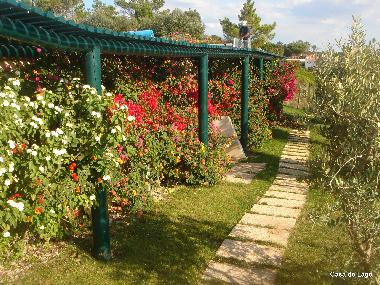 Ferienhaus in  Foz do Arelho (Oeste) oder Ferienwohnung oder Ferienhaus