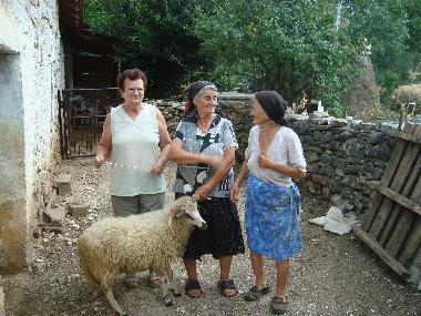 Ferienhaus in Podstrana (Splitsko-Dalmatinska) oder Ferienwohnung oder Ferienhaus