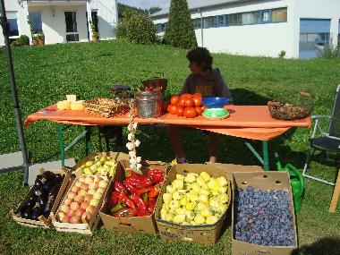 Ferienhaus in Podstrana (Splitsko-Dalmatinska) oder Ferienwohnung oder Ferienhaus