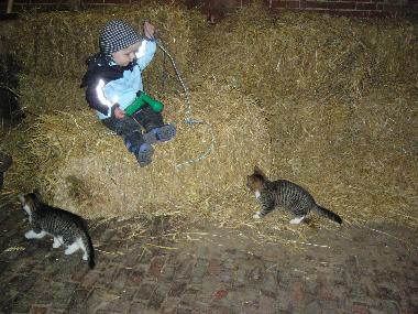 Auf einen Bauernhof geh�ren Katzen!