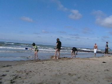 Ferienhaus in bredene (Flandern) oder Ferienwohnung oder Ferienhaus