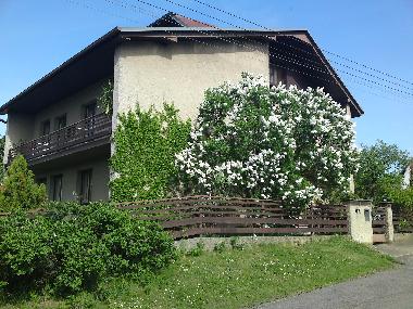 Pension in Liberec - Reichenberg (Liberecky Kraj) oder Ferienwohnung oder Ferienhaus