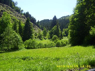 Ferienwohnung in Bad Laasphe-Feudingen (Siegerland-Wittgenstein) oder Ferienwohnung oder Ferienhaus